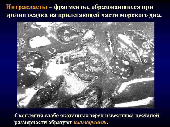 Интракласты – фрагменты, образовавшиеся при эрозии осадка на прилегающей части морского дна. Скопления слабо