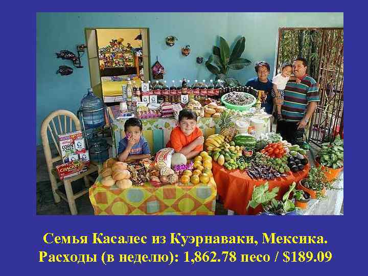 Семья Касалес из Куэрнаваки, Мексика. Расходы (в неделю): 1, 862. 78 песо / $189.