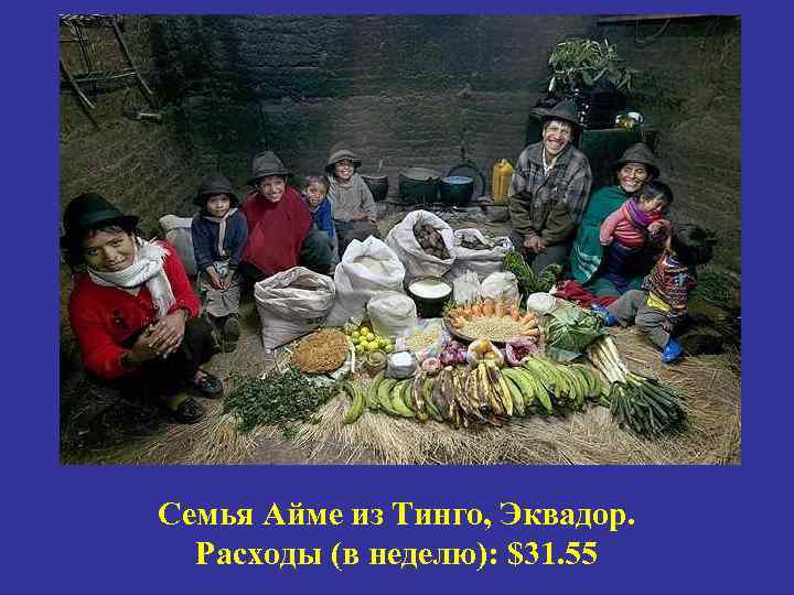 Семья Айме из Тинго, Эквадор. Расходы (в неделю): $31. 55 
