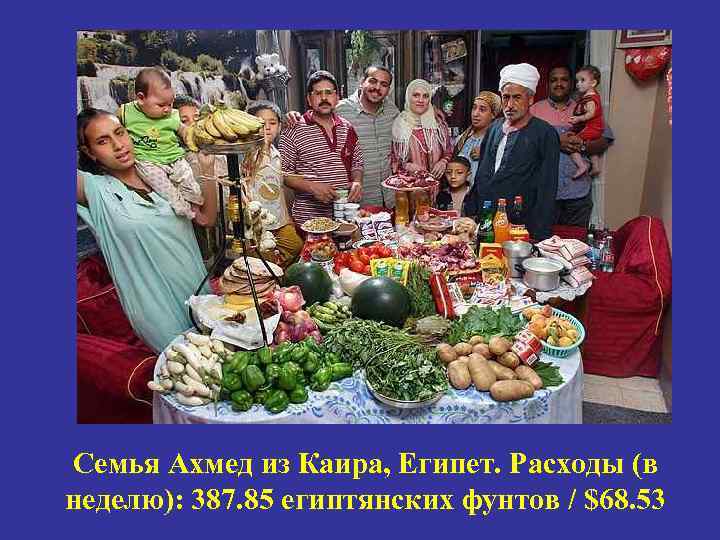 Семья Ахмед из Каира, Египет. Расходы (в неделю): 387. 85 египтянских фунтов / $68.