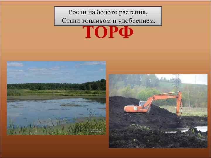 Росли на болоте растения, Стали топливом и удобрением. ТОРФ 