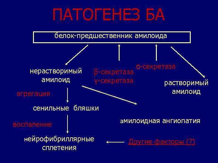 ПАТОГЕНЕЗ БА белок-предшественник амилоида нерастворимый амилоид β-секретаза γ-секретаза ɑ-секретаза агрегация растворимый амилоид сенильные бляшки