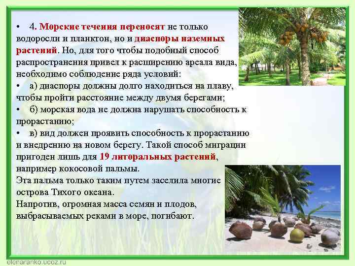  • 4. Морские течения переносят не только водоросли и планктон, но и диаспоры