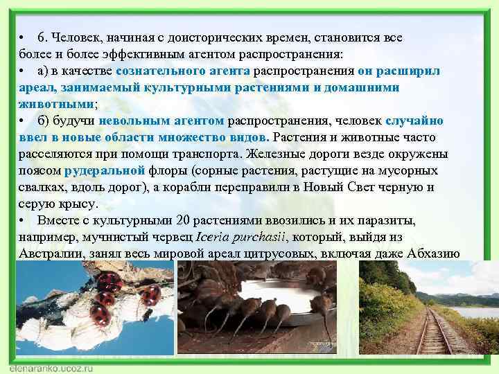  • 6. Человек, начиная с доисторических времен, становится все более и более эффективным
