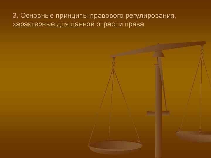 3. Основные принципы правового регулирования, характерные для данной отрасли права 