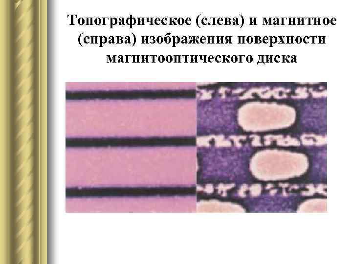 Топографическое (слева) и магнитное (справа) изображения поверхности магнитооптического диска 