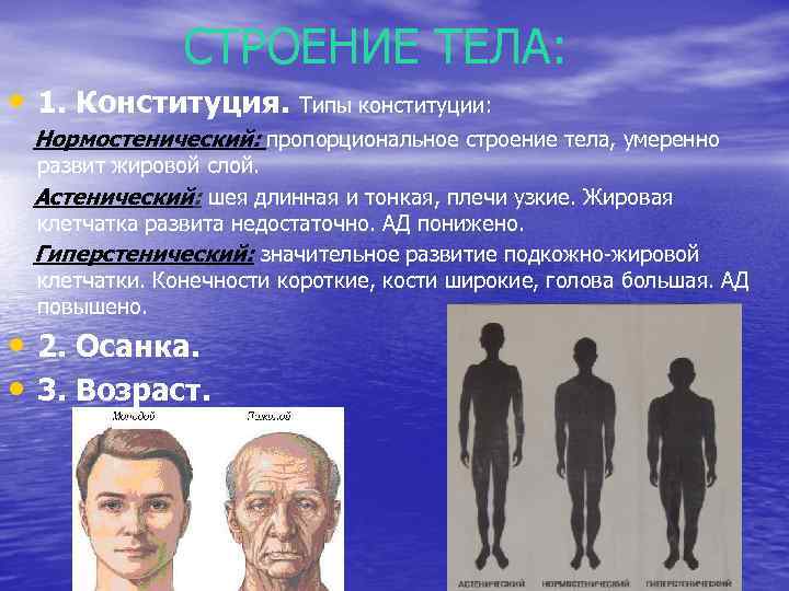 СТРОЕНИЕ ТЕЛА: • 1. Конституция. Типы конституции: Нормостенический: пропорциональное строение тела, умеренно развит жировой