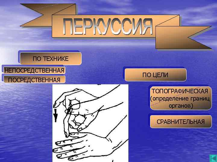 ШЕНИЯ МЕЖДУ НИМИ. ПО ТЕХНИКЕ НЕПОСРЕДСТВЕННАЯ ПО ЦЕЛИ ТОПОГРАФИЧЕСКАЯ (определение границ органов) СРАВНИТЕЛЬНАЯ 