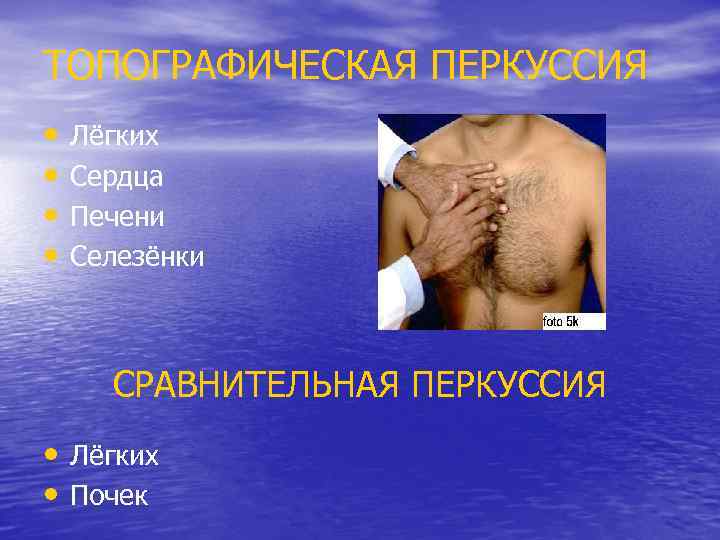 ТОПОГРАФИЧЕСКАЯ ПЕРКУССИЯ • • Лёгких Сердца Печени Селезёнки СРАВНИТЕЛЬНАЯ ПЕРКУССИЯ • Лёгких • Почек