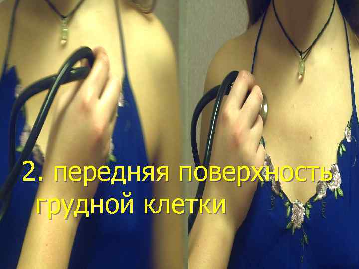 2. передняя поверхность грудной клетки 