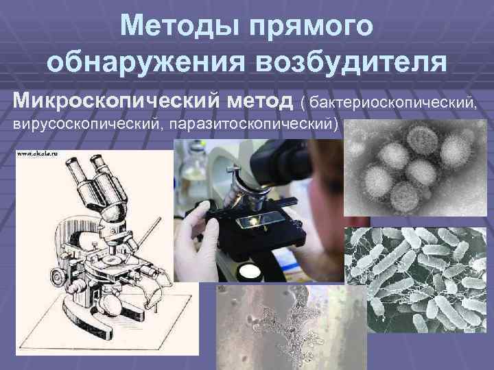 Методы прямого обнаружения возбудителя Микроскопический метод ( бактериоскопический, вирусоскопический, паразитоскопический) 