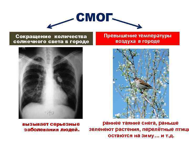 СМОГ Сокращение количества солнечного света в городе вызывает серьезные заболевания людей. Превышение температуры воздуха