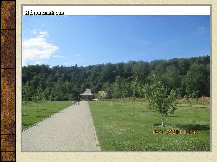 Яблоневый сад 
