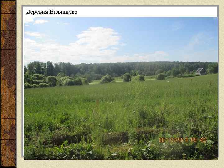 Деревня Вгляднево 