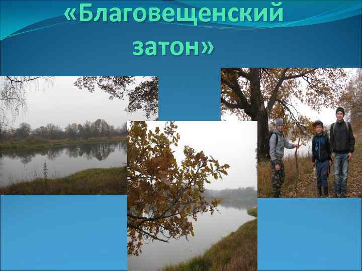  «Благовещенский затон» 