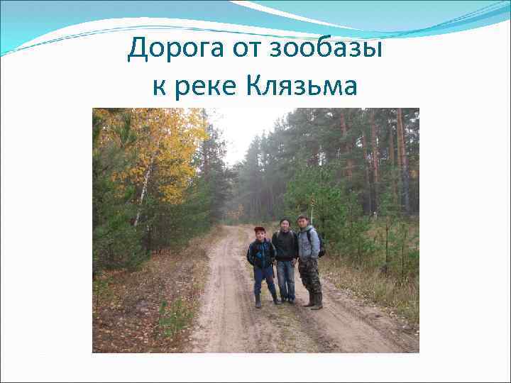 Дорога от зообазы к реке Клязьма 