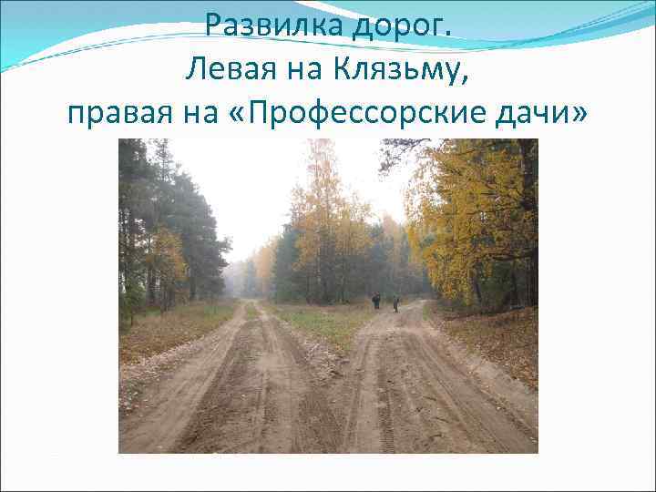 Развилка дорог. Левая на Клязьму, правая на «Профессорские дачи» 