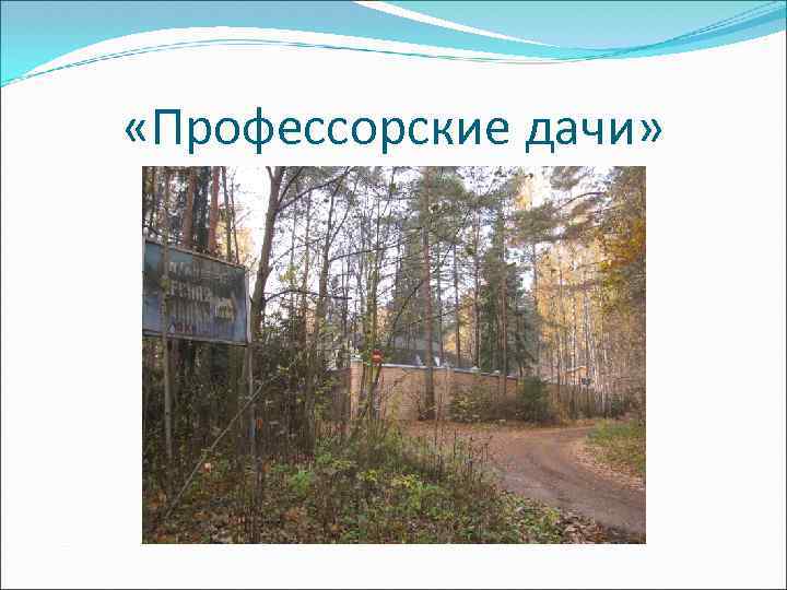  «Профессорские дачи» 