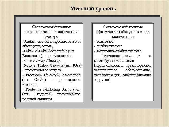 Местный уровень Сельскохозяйственные производственные кооперативы фермеров -Sunkist Growers, производство и сбыт цитрусовых, -Lake-To-Lake Cooperative