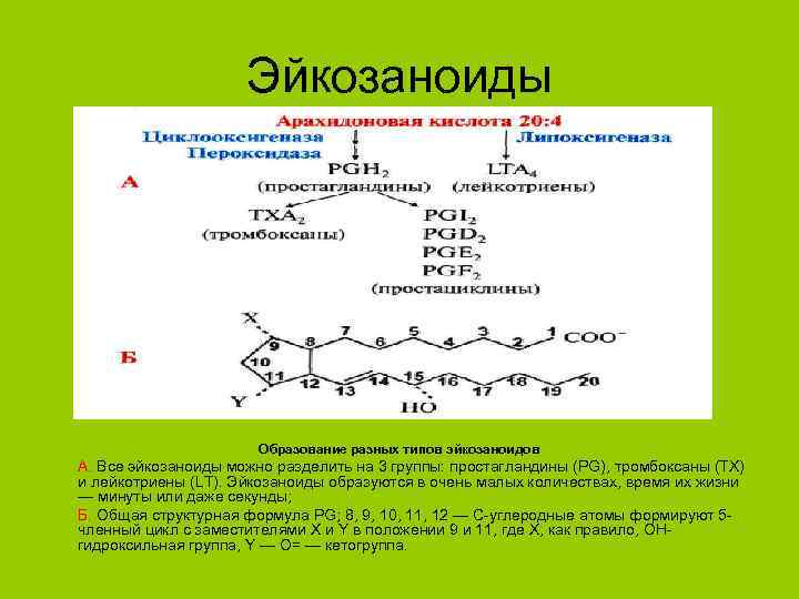 Простагландины схема синтеза