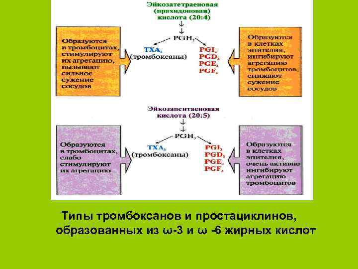 Типы тромбоксанов и простациклинов, образованных из ω 3 и ω 6 жирных кислот 