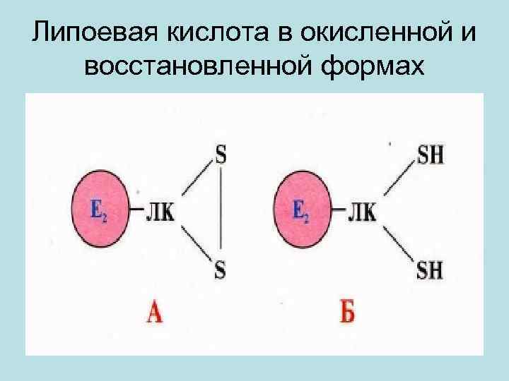 Липоевая кислота в окисленной и восстановленной формах 