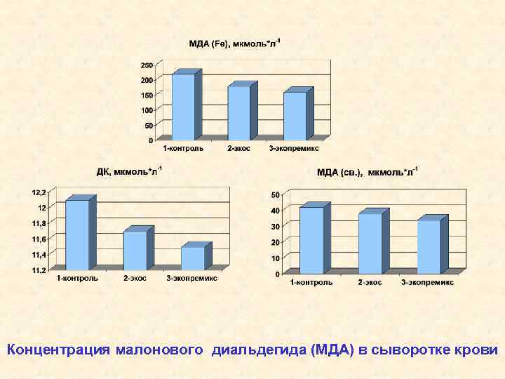 Концентрация малонового диальдегида (МДА) в сыворотке крови 
