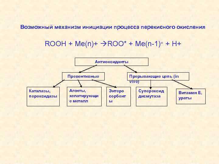 Возможный механизм инициации процесса перекисного окисления ROOH + Me(n)+ ROO* + Me(n-1)+ + H+