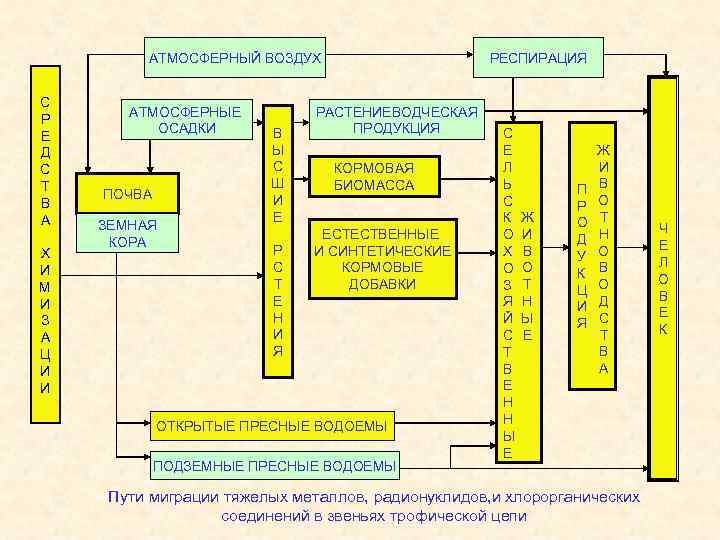 АТМОСФЕРНЫЙ ВОЗДУХ С Р Е Д С Т В А Х И М И
