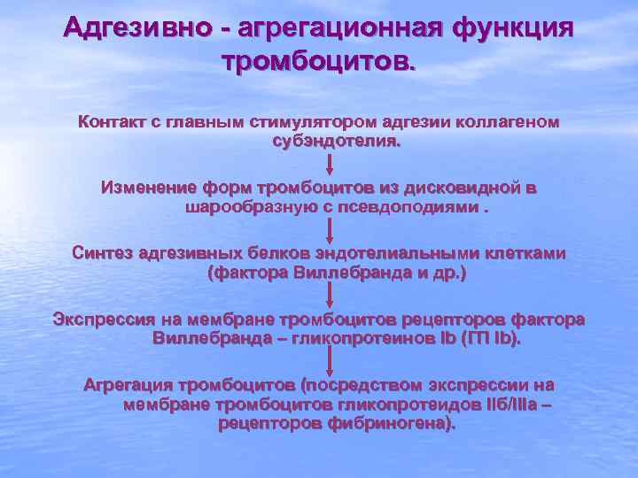 Адгезивно - агрегационная функция тромбоцитов. Контакт с главным стимулятором адгезии коллагеном субэндотелия. Изменение форм