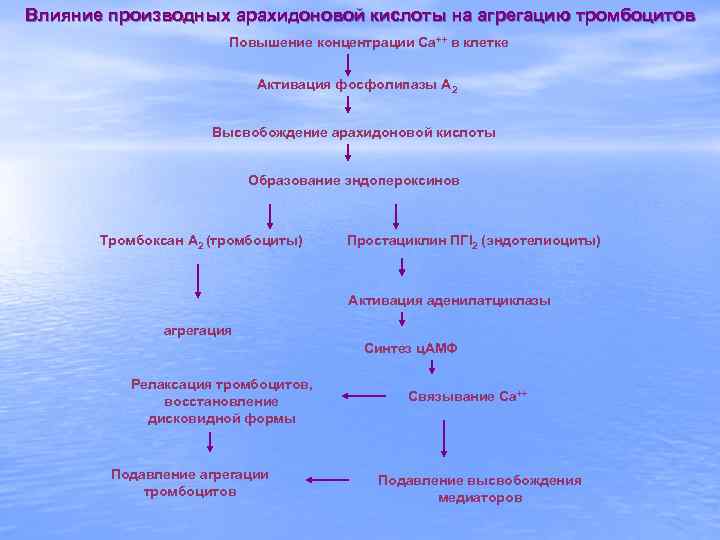 Влияние производных арахидоновой кислоты на агрегацию тромбоцитов Повышение концентрации Ca++ в клетке Активация фосфолипазы