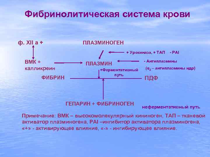 Фибринолитическая система крови ф. XII a + ПЛАЗМИНОГЕН + Урокиназа, + ТАП ВМК +