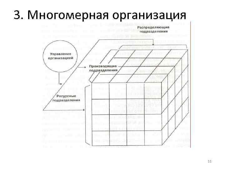 3. Многомерная организация 11 