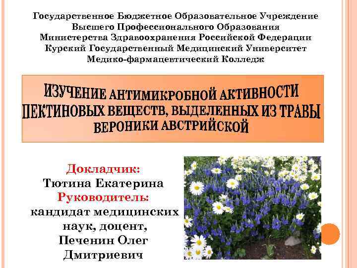 Государственное Бюджетное Образовательное Учреждение Высшего Профессионального Образования Министерства Здравоохранения Российской Федерации Курский Государственный Медицинский