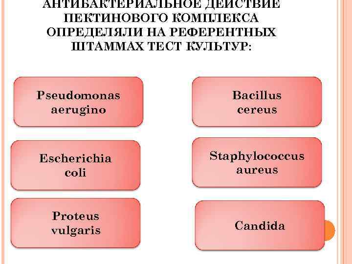 АНТИБАКТЕРИАЛЬНОЕ ДЕЙСТВИЕ ПЕКТИНОВОГО КОМПЛЕКСА ОПРЕДЕЛЯЛИ НА РЕФЕРЕНТНЫХ ШТАММАХ ТЕСТ КУЛЬТУР: Pseudomonas aerugino Bacillus cereus