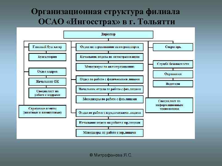 Организационная структура и содержание проекта