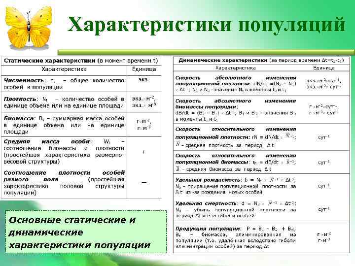 Характеристики популяций Основные статические и динамические характеристики популяции 