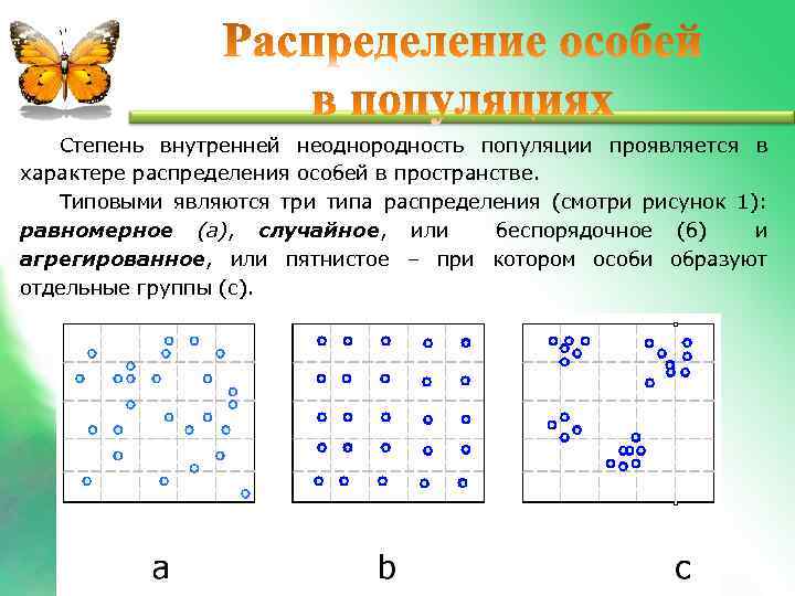 Степень внутренней неоднородность популяции проявляется в характере распределения особей в пространстве. Типовыми являются три