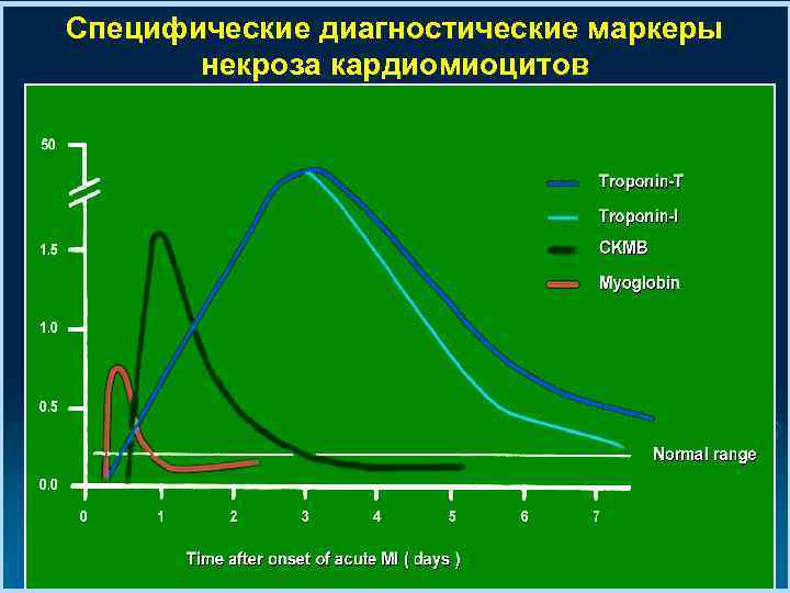Специфические диагностические маркеры некроза кардиомиоцитов 