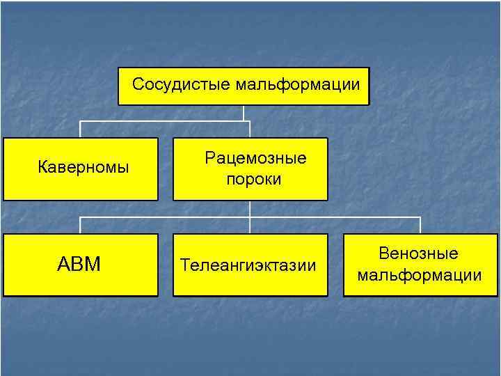 Сосудистые мальформации Каверномы АВМ Рацемозные пороки Телеангиэктазии Венозные мальформации 