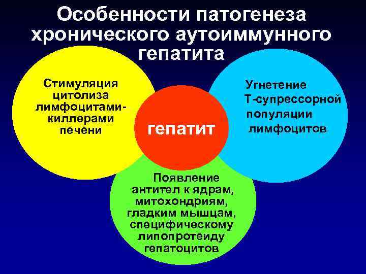 Особенности патогенеза хронического аутоиммунного гепатита Стимуляция цитолиза лимфоцитамикиллерами печени гепатит Появление антител к ядрам,