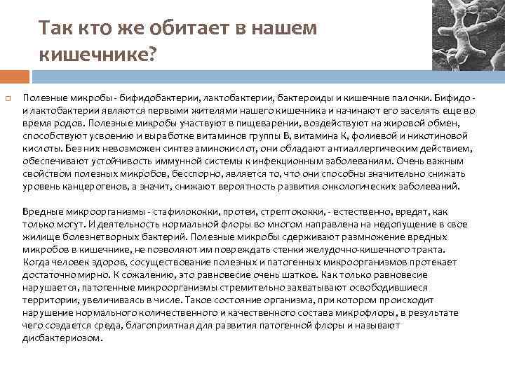 Так кто же обитает в нашем кишечнике? Полезные микробы - бифидобактерии, лактобактерии, бактероиды и