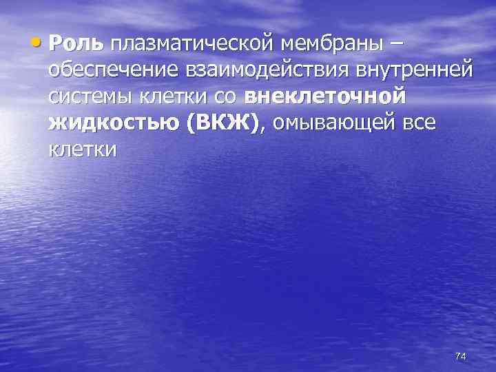  • Роль плазматической мембраны – обеспечение взаимодействия внутренней системы клетки со внеклеточной жидкостью