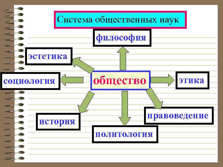 Система общественных наук философия эстетика социология история общество этика правоведение политология 