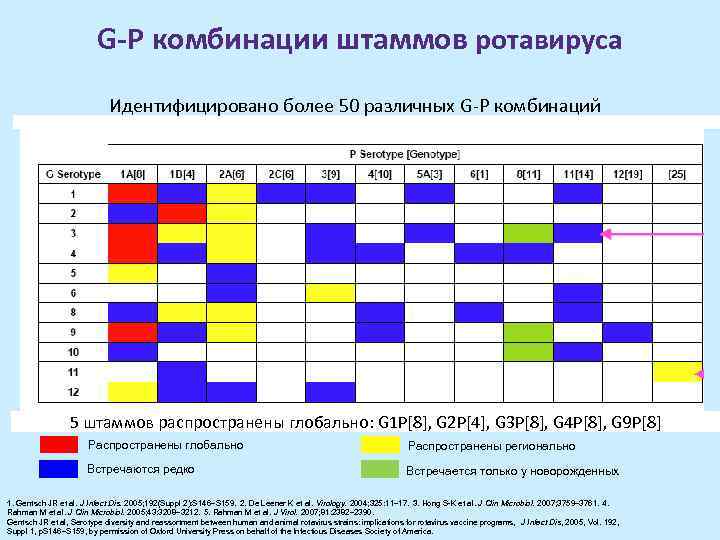 G-P комбинации штаммов ротавируса Идентифицировано более 50 различных G-P комбинаций 5 штаммов распространены глобально:
