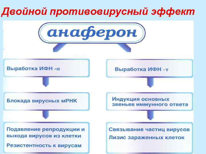 Двойной противовирусный эффект 