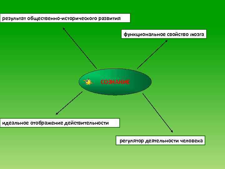 результат общественно-исторического развития функциональное свойство мозга СОЗНАНИЕ идеальное отображение действительности регулятор деятельности человека 