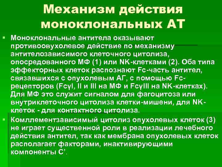 Механизм действия моноклональных АТ § Моноклональные антитела оказывают противоовухолевое действие по механизму антителозависимого клеточного