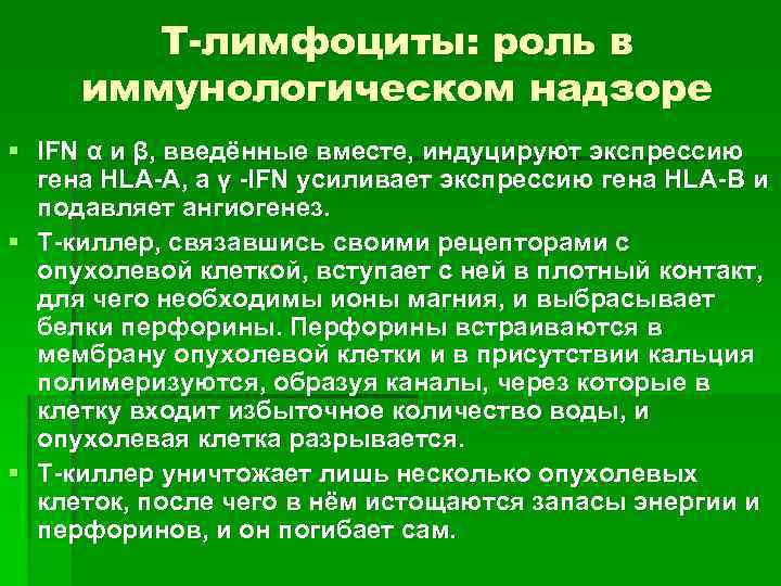 T-лимфоциты: роль в иммунологическом надзоре § IFN α и β, введённые вместе, индуцируют экспрессию
