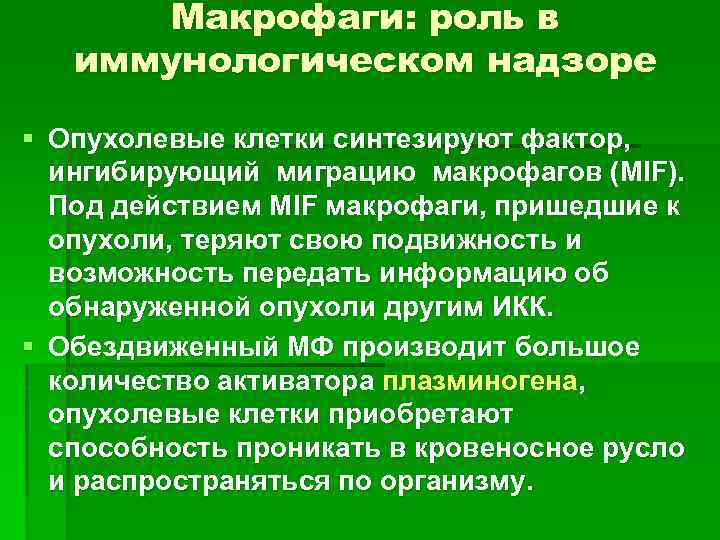 Макрофаги: роль в иммунологическом надзоре § Опухолевые клетки синтезируют фактор, ингибирующий миграцию макрофагов (MIF).
